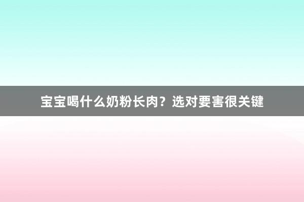 宝宝喝什么奶粉长肉？选对要害很关键